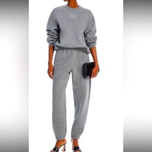 Alexander Wang glitter sweatshirt and sweatpants size XS